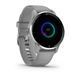 Смарт-часы Garmin Venu 2 Plus серые с серебристым безелем и силиконовым ремешком 010-02496-10 фото 3