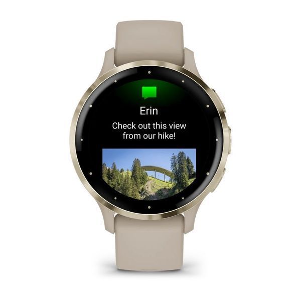 Смарт-годинник Garmin Venu 3s французький сірий із золотистим сталевим безелем і силіконовим ремінцем 010-02785-02 фото