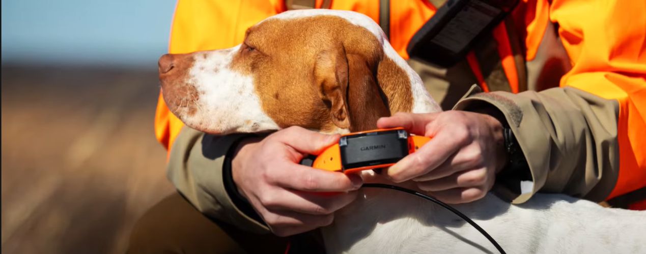 Ошейник для собак Garmin Alpha LTE